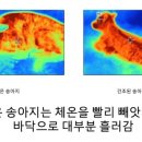 헌열농장 이미지