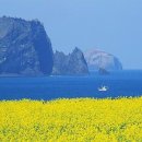 바닷가언덕 이미지