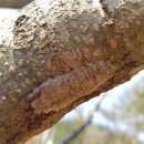 겨울나기 생태수업 이미지