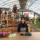 꿈의 정원 이미지