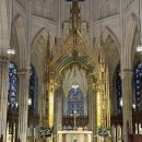 퍼피랜드 | 뉴욕공립도서관, 루크스랍스터, 세인트패트릭성당, 퍼피요가, 토니버거, 모마미술관, 뉴욕북창동순두부