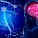 운동하기 좋은날 PT studio 이미지