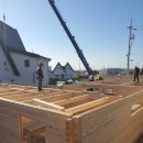 로그 하우스 이미지