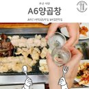 롯데양곱창 | 부산 서면 A6양곱창 솔직후기 잡내없는 양곱창에 김치쌈밥 서비스 까지 로컬찐맛집