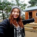 숲속작은민박 이미지