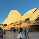 몽멍이들 이미지