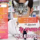 장기비타민약국 이미지