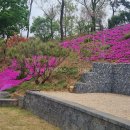 서창캠핑장 이미지