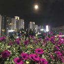 샹떼PC방 안양동점 이미지