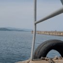 신항만 반점 이미지