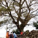 저지리경로당 이미지