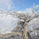 이동신협 앞 이미지