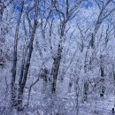 소백산국립공원(小白山國立公園) 이미지