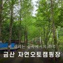 [충남 캠핑장] 비 내리는 숲속에서의 하루, 금산 자연오토캠핑장 후기