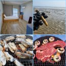 해변펜션 | 몽산포펜션 해루질 무료장비대여 + 바베큐 낭만넘치는 몽산해변펜션 후기