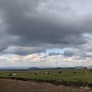 선양목장 이미지