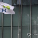 과천신도시 공인중개사사무소 이미지