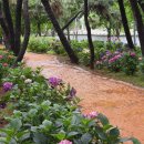 SK강변주유소 이미지