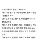 봉쁠라 Daum카페