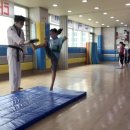 한국체대스타태권도장 이미지