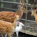 금어농장 이미지