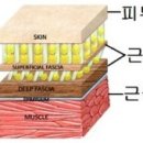 리더몬드 에스테틱 부산동래본점