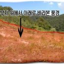 전원슈퍼 이미지