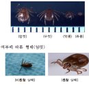 농촌진흥청발표-주간농사정보 제23호 (2014.6.1 ~ 6.7) 이미지