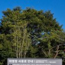 내장산국립공원 내장호야영장 이미지