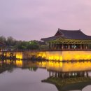 브라운도트 경주안강점 이미지