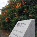 UR(파주시)-[교하로]-상-47 | 서초구 - 문화재와 향토자료