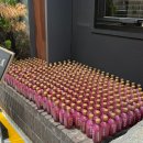 사계절장어 이미지