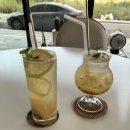 보타니코 이미지