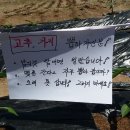 나가지농장 이미지