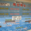 회마루 티스토리