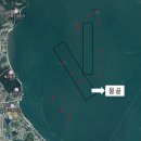 H9000 | 해루질 제로빔 H50 헤드랜턴 인천 영흥도 하늘고래전망대 소라 낙지 포인트 공개 사용 후기