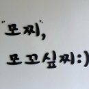 모꼬싶찌