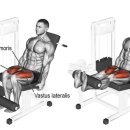 크라우드짐 이미지