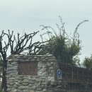 누디맨션 이미지