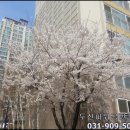 풍동경로당 이미지