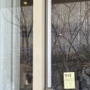 휴일경로당 | 도글리-야탑역 분위기 좋은 파스타 맛집 추천, 야탑역 데이트는 여기로! 내돈내산 후기