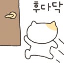 멍멍이PC 이미지