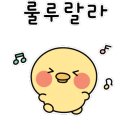 마리 도동마을 네이버블로그