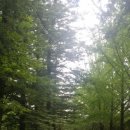 제일치킨 이미지