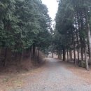 잣향기푸른숲 유아숲체험원 이미지