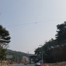 동면 체육공원 네이버블로그
