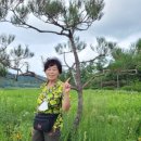 함평나비메주된장 네이버블로그