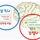 성인 ADHD를 자각하기 어려운 이유 이미지