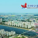 신종합
