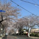 서호동-27 이미지